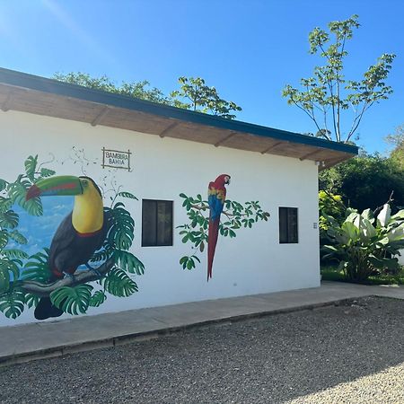 Bambura Bahia Villas Uvita Kültér fotó