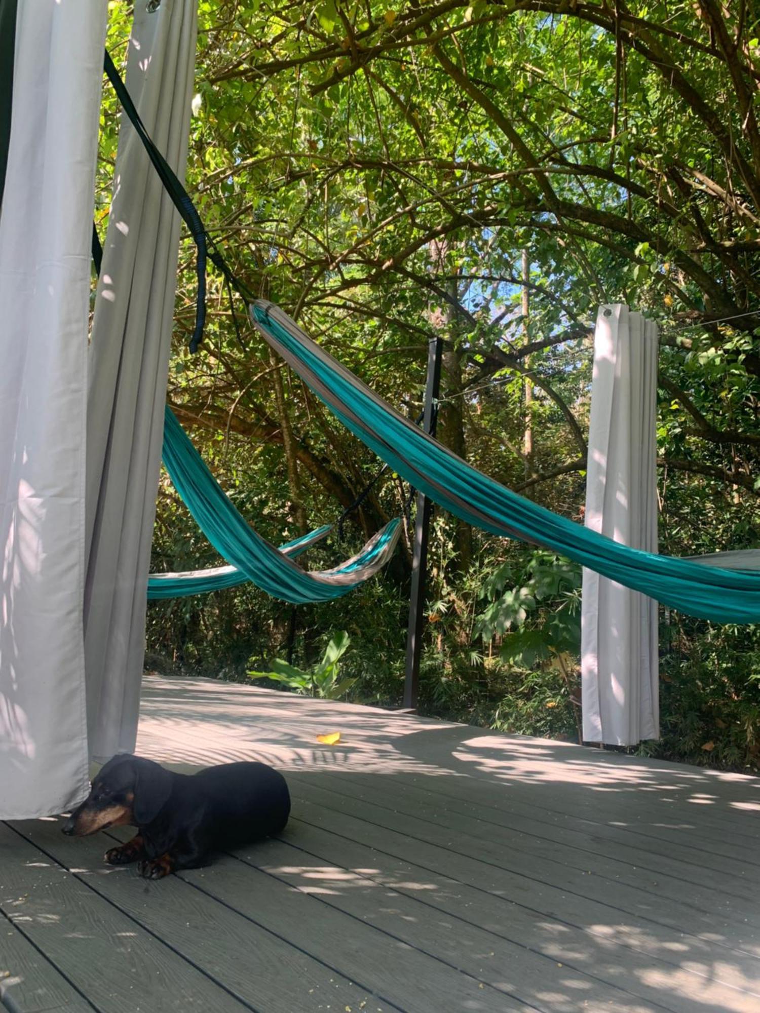 Bambura Bahia Villas Uvita Kültér fotó
