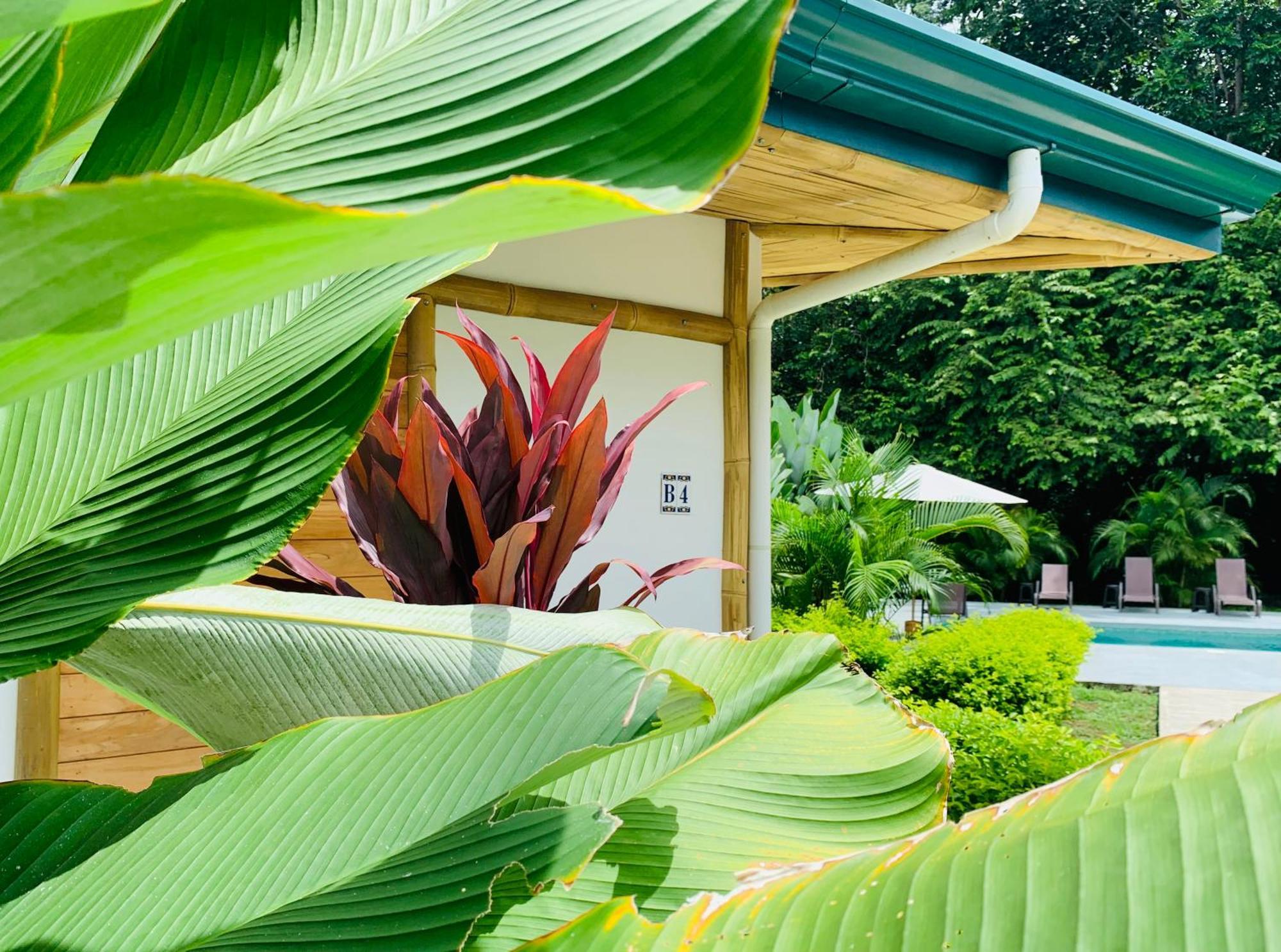 Bambura Bahia Villas Uvita Kültér fotó