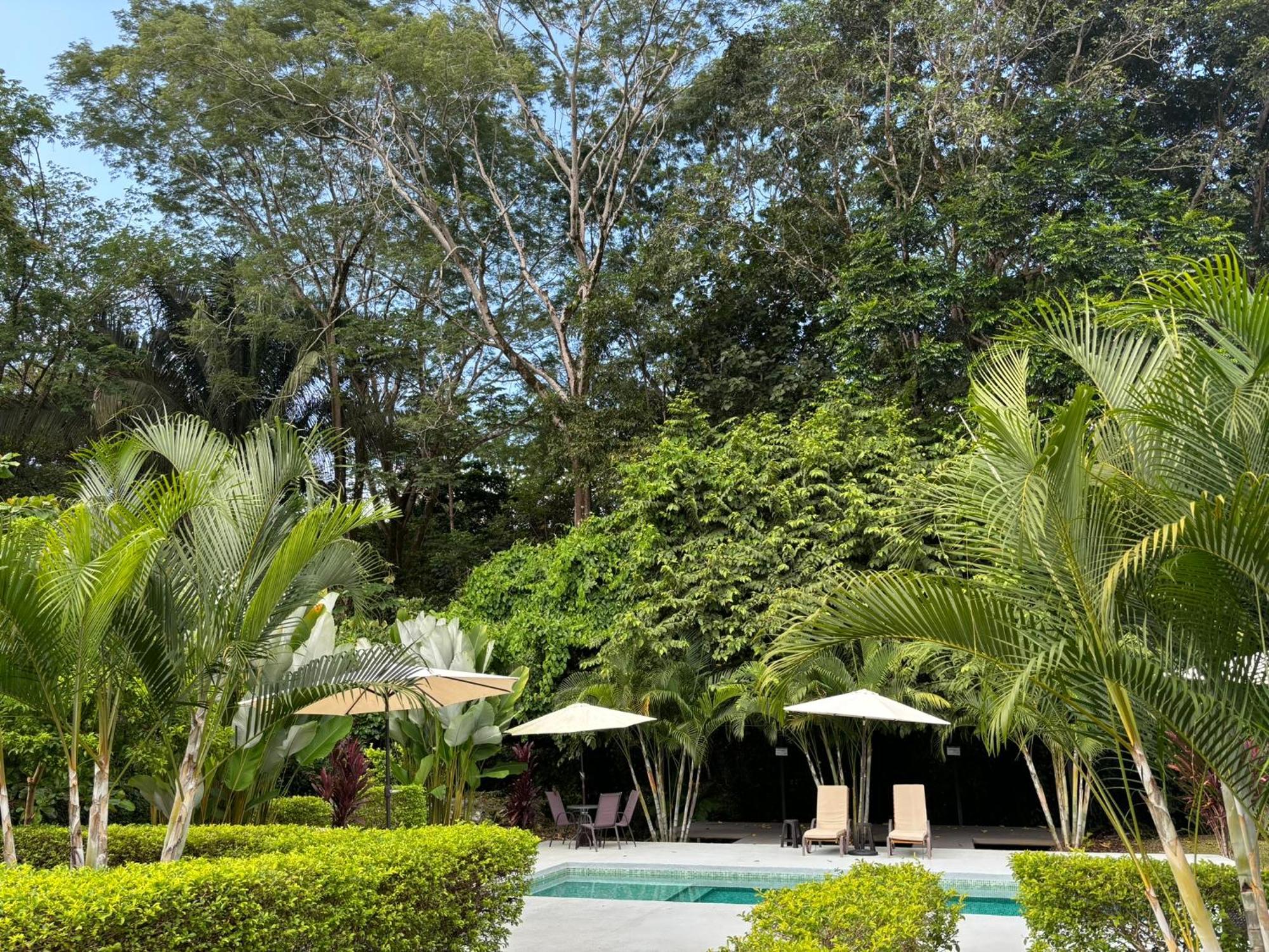 Bambura Bahia Villas Uvita Kültér fotó